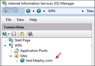 Website name in IIS manager